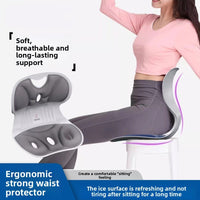 Ergonomic Chair Posture Cushion