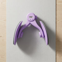 Pelvic floor muscle trainer