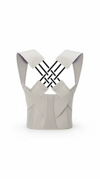 Posture corrector vest